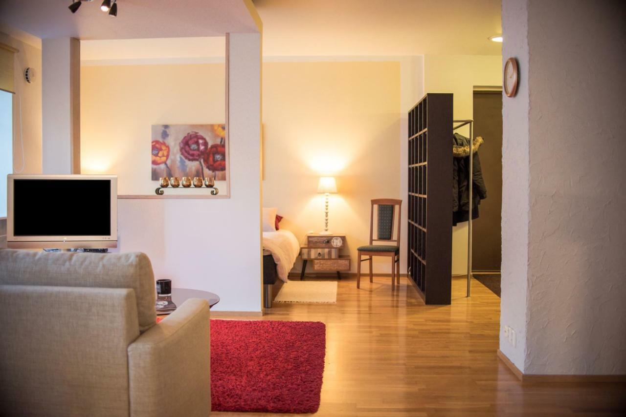 Large Studio Downtown Таллин Экстерьер фото